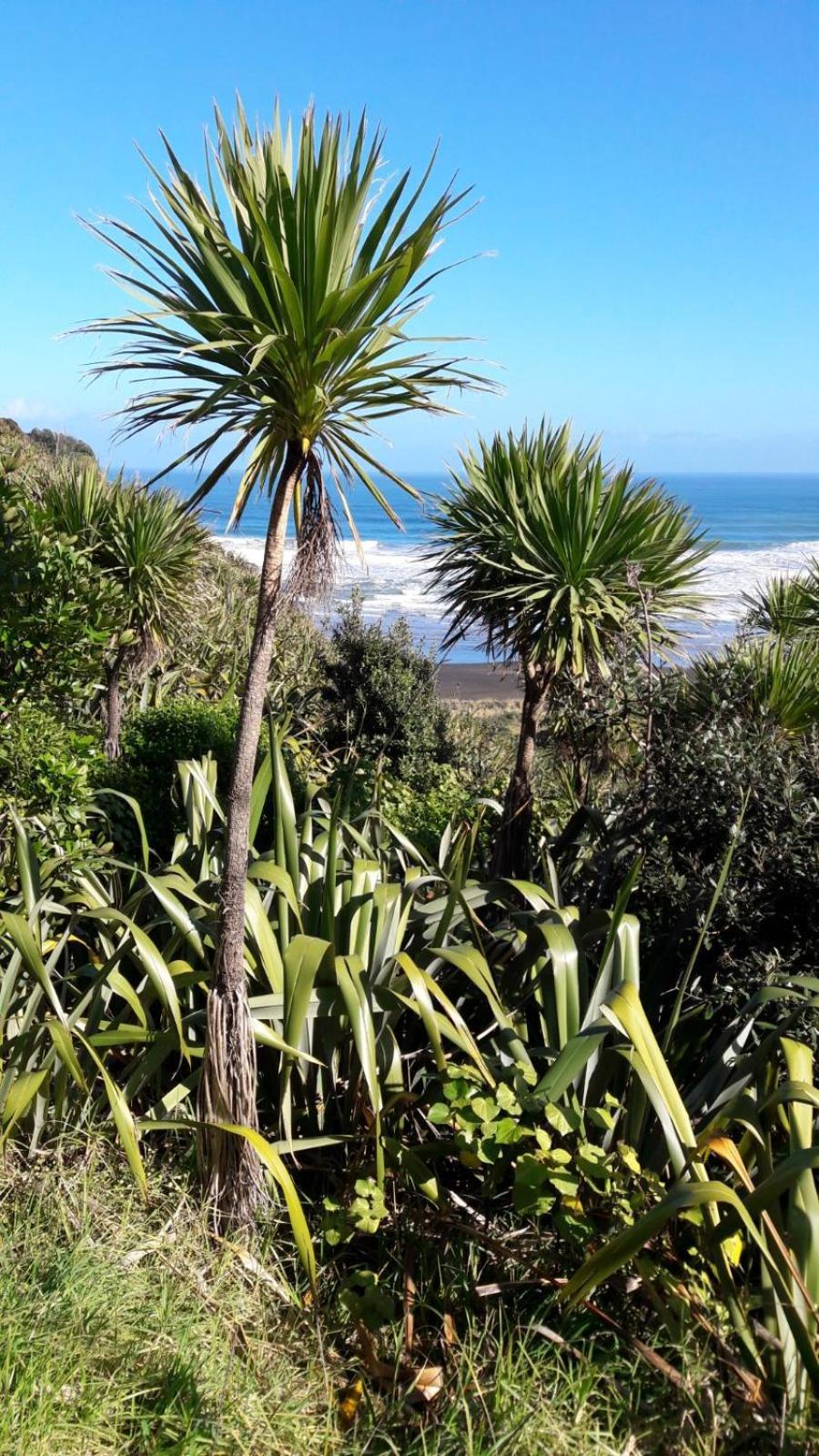 Te Henga Hideaway Villa Bethells Beach Exterior photo